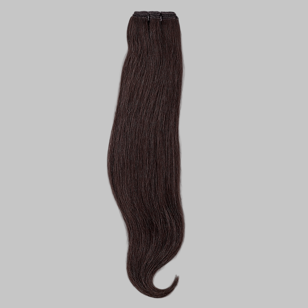 Vietnamese Silky Straight Extensions